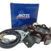 D_619064-MCO75104491027_032024-O.jpg Plato Corona Bobinas Akt 125 Original Nkd Sl