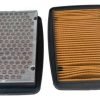D_622455-MCO77278259326_072024-O.jpg Filtro De Aire Tvs Apache 160 V4 Fi / 200 V4 Fi Tvs