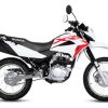 Pata Paral Completa Honda Nxr 125 Bross Xr 150l Xr150
