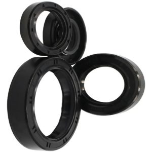 Kit Retenes Motor Akt 125 Sl / Nkd / Ttr / Evo R3 / Ne