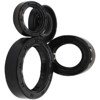 Kit Retenes Motor Akt 125 Sl / Nkd / Ttr / Evo R3 / Ne