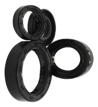 Kit Retenes Motor Akt 125 Sl / Nkd / Ttr / Evo R3 / Ne