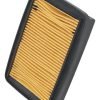 D_670520-MCO77278173454_072024-O.jpg Filtro De Aire Tvs Apache 160 V4 Fi / 200 V4 Fi Tvs
