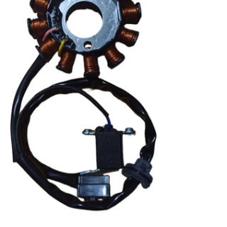 Stator Plato Corona De Bobinas Agility 125 Rs Digital 12 Nuc