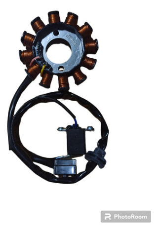 Stator Plato Corona De Bobinas Agility 125 Rs Digital 12 Nuc