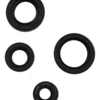 Kit Retenes Motor Aceite Pulsar 135 / Boxer Ct / St / Xcd