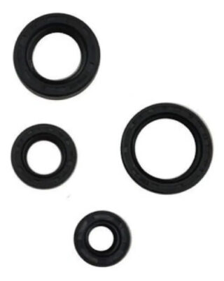 Kit Retenes Motor Aceite Pulsar 135 / Boxer Ct / St / Xcd