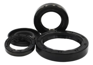 Kit Retenes Motor Akt 125 Sl - Nkd -sport -r3-ne-ttr