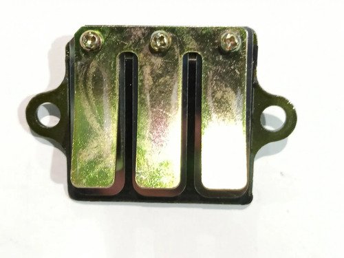 Torque Flapper Admisión Ax 100 Akt 100 Genuine