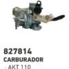 D_740665-MCO50896588915_072022-O.jpg Carburador Completo Akt 110 Calidad Original
