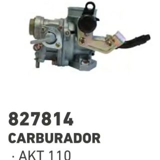 Carburador Completo Akt 110 Calidad Original