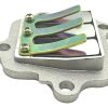 Torque Flaper Yamaha V80