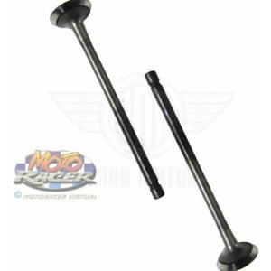 Válvulas Kit Bajaj Xcd 125 India Original