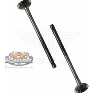 Válvulas Kit Bajaj Xcd 125 India Original