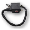 Bobina De Alta Con Cdi Ax100 Fr80 Ts125 Calidad Original
