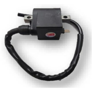 Bobina De Alta Con Cdi Ax100 Fr80 Ts125 Calidad Original