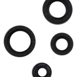 Kit Reten Motor Bajaj Pulsar 135 Discover St 100 125 150
