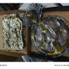 Kit Arrastre Gixxer 150 Dorado Reforzado