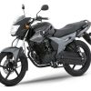 D_832431-MCO87791100378_072025-O.jpg Carenaje Farola Completa Szr 160