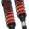 Amortiguadores Traseros Boxer Ct 100 Platino