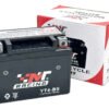 Batería Gel Eco Deluxe Cb110 Best Ts125 C90 Ytx4lbs