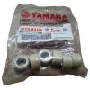 D_868133-MCO75954495679_042024-O.jpg Dados Rollers Yamaha N Max 155