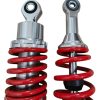 Amortiguadores Evo R3 125-150 Akt Traseros