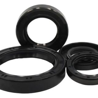Kit Retenes Motor Aceite Akt 110 S Nv Flex125 Ultra Cyclon