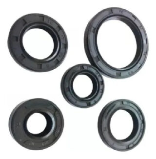 Kit Retenes Motor Aceite Yamaha Ybr125 Libero125 Xtz125