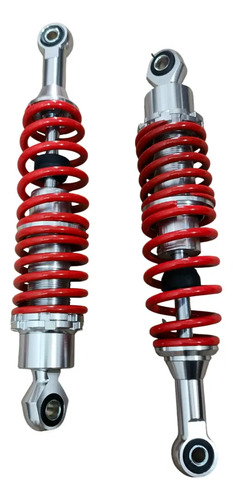 Amortiguadores Traseros Akt Evo R3 125-150