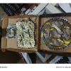 Kit Arrastre Gixxer 150 Dorado Reforzado