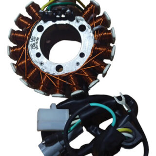Stator Corona De Bobinas Leo Yamaha Xt225 Completa