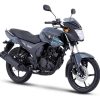 D_995084-MCO87239768254_072025-O.jpg Mordaza De Freno Delantero Yamaha Szr-r